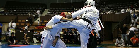 Npo法人 世界硬式空手道連盟 Wkkf World Koshiki Karatedo Federation 世界硬式空手道は