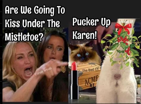 Pin on cat & karen memes