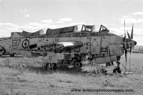 The Aviation Photo Company Archive Royal Navy AHU Abbotsinch Fairy