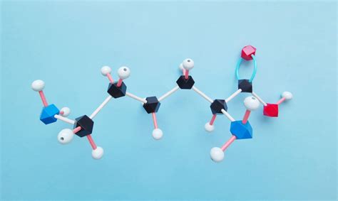 Essential Amino Acids - The Definitive Guide | Biology Dictionary