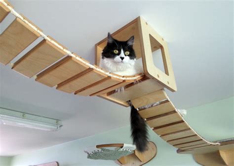 Designer Creates Amazing Playgrounds For Cats