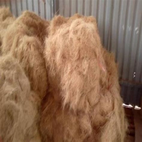 Eco Friendly 100 Natural Coconut Coir Fiber At Best Price In Cape Town