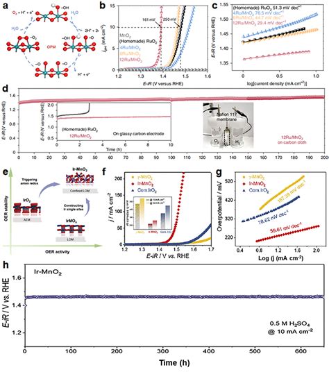 科学网—icm论文 海南大学田新龙教授团队：基于二氧化锰的析氧电催化剂研究进展 孔景的博文