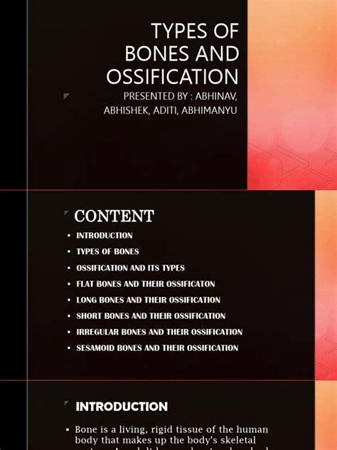 Types of Bones and Ossification 3 | PDF | Bone | Vertebra