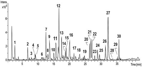 Hplc Hrms Base Peak Chromatogram Acquired In Esi Negative Mode For The