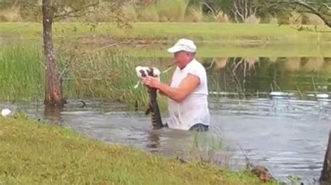 Florida Man Jumps Into Pond Wrestles Alligator To Save Puppy Cbs19tv