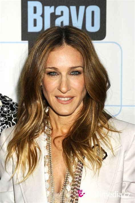 Sarah Jessica Parker Hairstyle EasyHairStyler Sarah Jessica