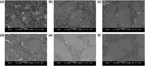 Sem Photographs Of Squeeze Pressure Effect On The Microstructure Of