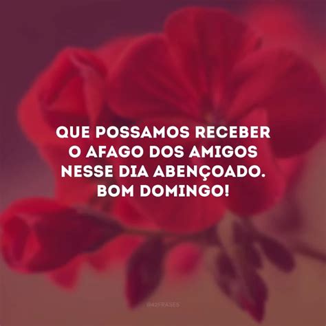 40 Frases De Bom Domingo Para Amigos Que Melhoram O Fim De Semana