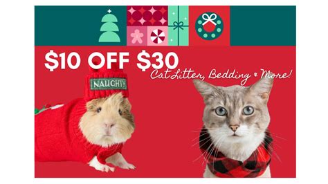 Petsmart 10 Off 30 Same Day Delivery Today Only Southern Savers