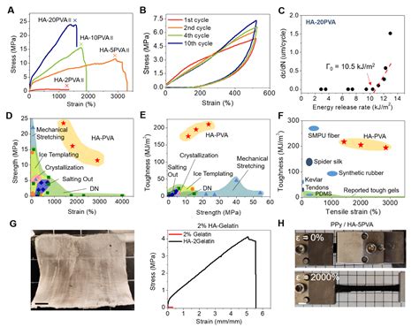 Ucla贺曦敏教授课题组nature：高强度、高拉伸性、抗疲劳且高含水量的水凝胶中国聚合物网科教新闻