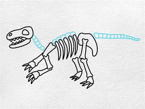 Dinosaur Fossils Drawing