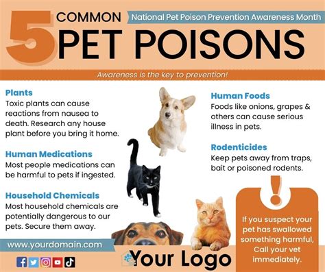 National Pet Poison Prevention Month Shelter Roundtable