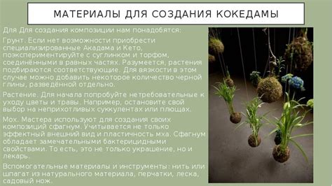 Подвесной сад Кокедама - презентация, доклад, проект