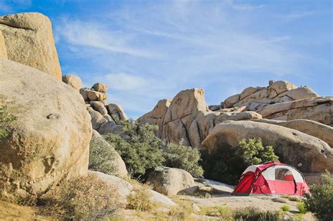 Joshua Tree Camping - What You Need to Know » Local Adventurer