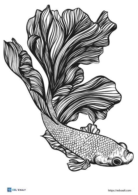 14 Free Betta Fish Coloring Page Printables Esl Vault