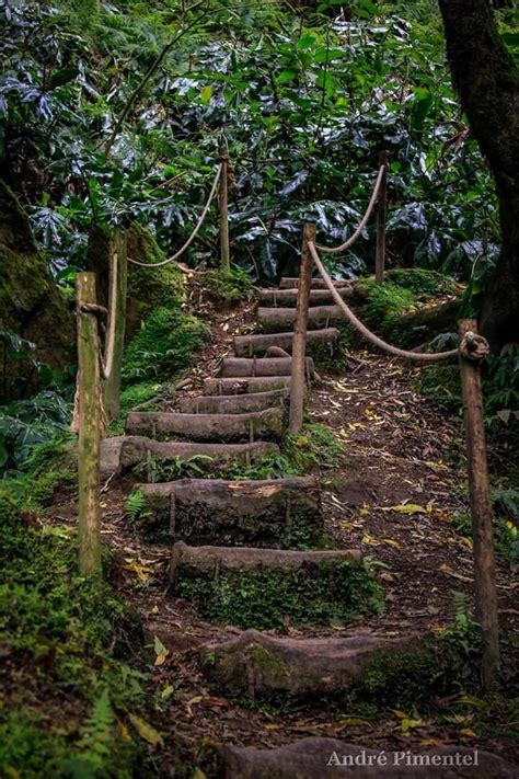 Sentiero Sarvanot Monterosso Grana Storie Di Folletti E Di Natura Artofit