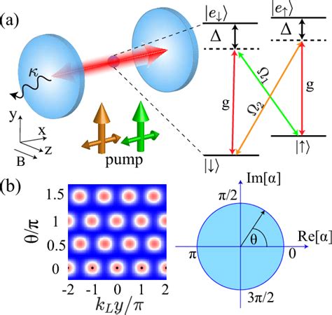 Figure From Self Ordered Supersolid In Spinor Condensates With Cavity