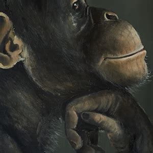 Monkey Painting on Canvas Orangutan Gorilla Original Oil Painting Animal Wild Animal Asia Wall ...