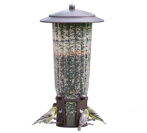 The Best Squirrel Proof Bird Feeders - Birding Insider