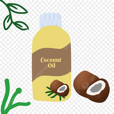 Coconut Oil Clipart Png Images Coconut Oil Beauty Herb Coconut Oil