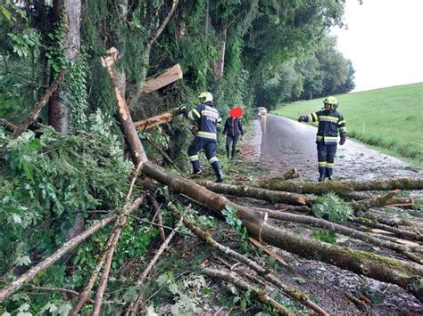 Baumbergung Freiwillige Feuerwehr Stiwoll