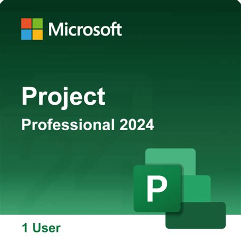 Microsoft Project Professional 2024 Digital Download for 1 PC User - QCRS