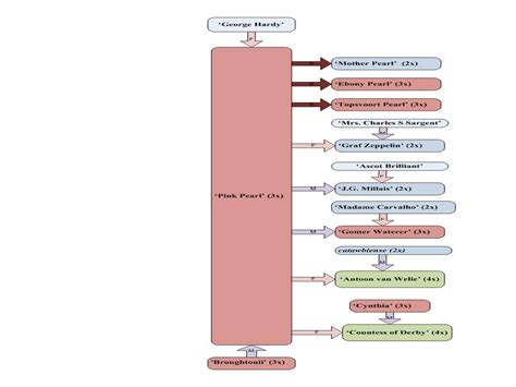 Speciation by polyploidy - Biology Stack Exchange