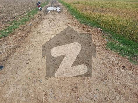 Kanal Farmhouse Land For Sale Sue E Asal Lahore Sue E Asal Lahore