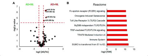 Mirna Transcriptomic Analysis Of Microglial Evs From Normallow Download Scientific Diagram