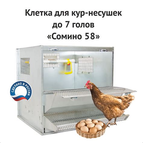 Клетка для Кур купить на OZON по низкой цене
