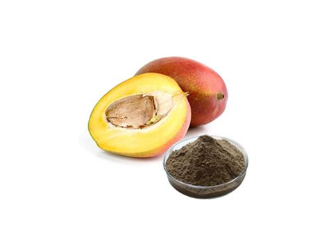 African Mango Seed Extract - Buy African Mango Seed Extract, Mango Seed Extract, african mango ...