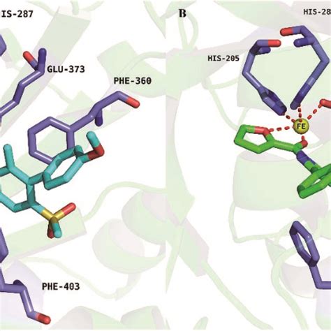 Binding Modes Of Ligand DAS869 PDB ID 1TFZ A And Compound 5n With