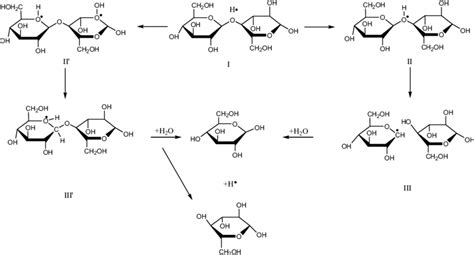 Mechanism Of Acid Catalyzed Hydrolysis Of β 1 4 Glucan 7 Download