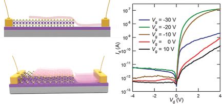 Van Der Waals Pn Advanced Functional Materials X Mol