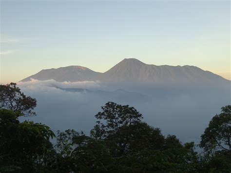 Gunung Pangrango | Gunung Bagging