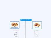 Macromolecules Mind Map