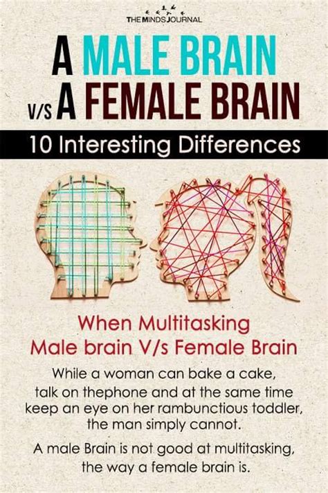 A Male Brain V/s A Female Brain -13 Interesting Differences | Human brain facts, Brain facts ...