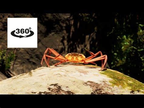 [VR 360°] fan-made Crab Rave (by Noisestorm): Snow Crab Rave Virtual ...