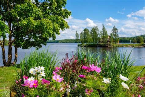 Beautiful Summer Landscape on Lake and with Flowers on Foreground Stock ...