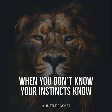 Follow Your Instincts When You Dont Know What To Choose Your