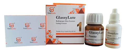 Safe Endo Glassy Lute Glass Ionomer Cement For Luting Alpha Dentkart