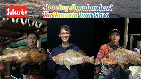 MANCING DASARAN DI MALAM HARI IKANNYA BABON BABON SEMUA YouTube