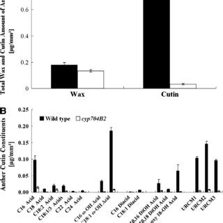 Analysis Of Anther Wax And Cutin In The Wild Type And Cyp704B2