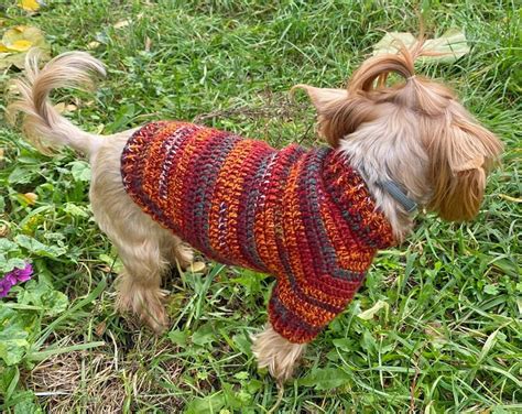 DOG SWEATER Pattern Crochet Sweater for Small Dogs PDF Dog - Etsy