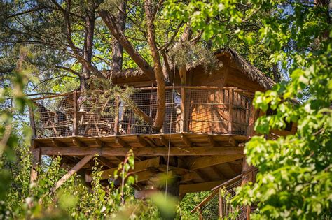 Treehouse Stvo Idla Pron Jem Srubu Le Tinka Ubytov N Vyso Ina