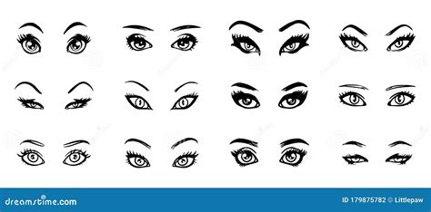 Set of Various Beautiful Female Eye Shapes Stock Vector - Illustration ...