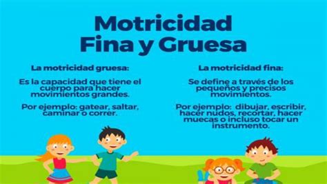 Motricidad Fina Y Gruesa