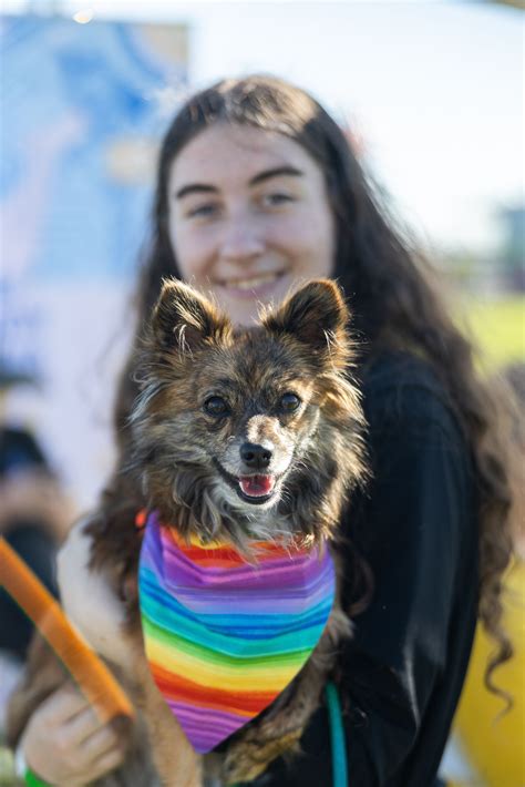 Pride Festival Pet Parade – Pacific Pride Foundation