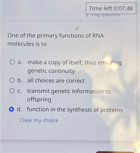 Solved Time left 0:07:48One of the primary functions of RNA | Chegg.com